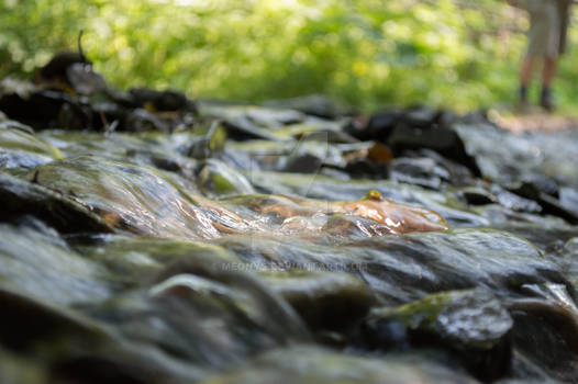 Brook Bela in Czech Republic