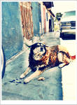 Loba by TeapotDomescam