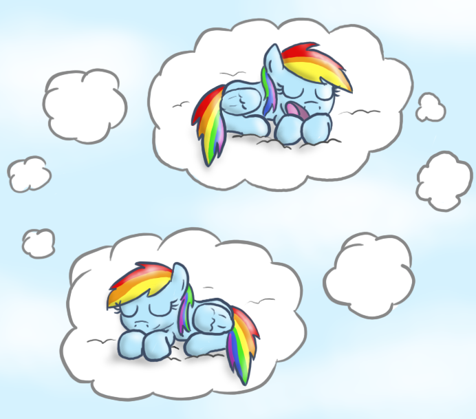 What Dash Dreams About