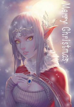 Merry Christmas~