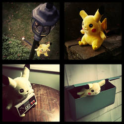 Pikachu Instagram Shots