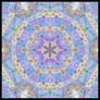 Trippy Tendencies 12