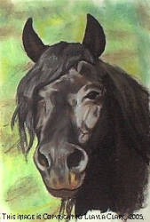 Friesian