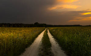 Out of town. by jacekson Out of town. by jacekson