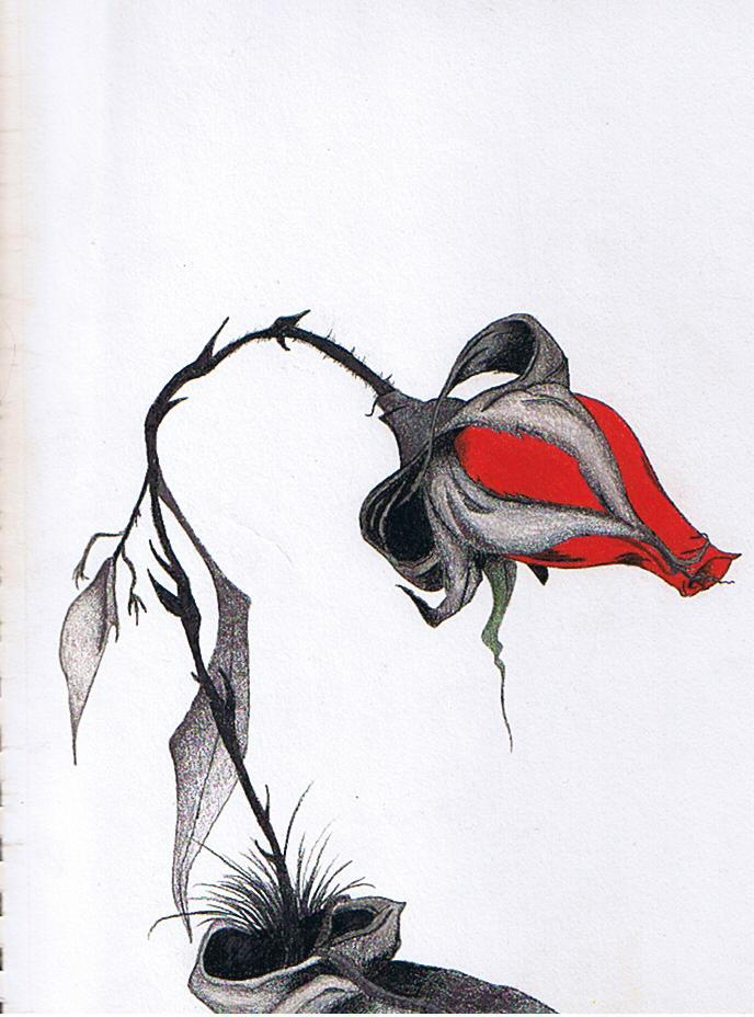 Droopy Rose by Kraich87 on DeviantArt