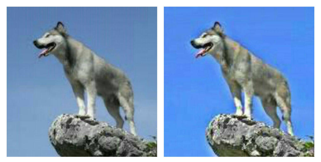 Wolves Edit edited wolf by RavingCZ on DeviantArt