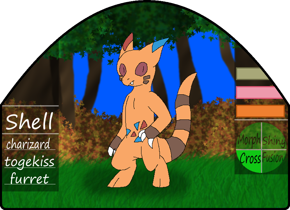 Shell|male|furret/charizard/togekiss