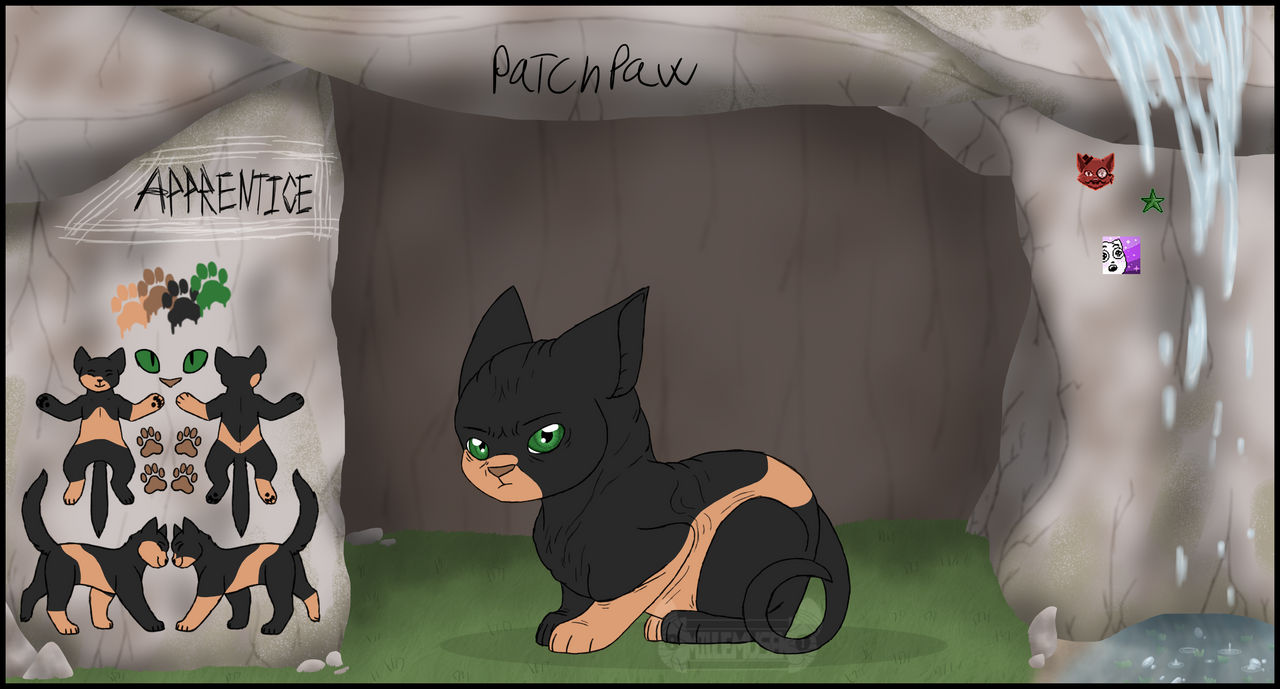 [wb]Patchpaw|apprentice