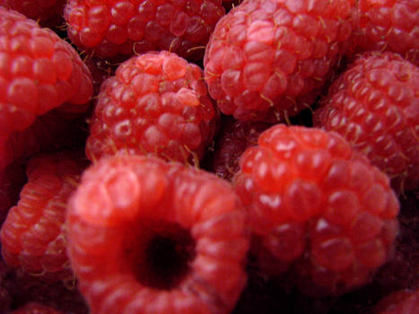 Raspberry Macro -Edit-