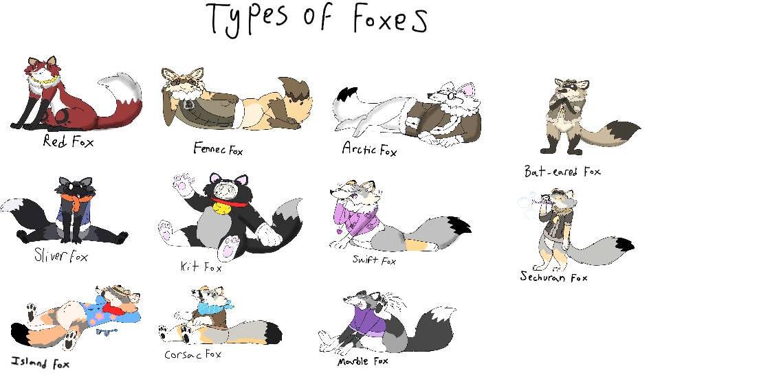 Types of foxes (updated 3) by RubyBadger223 on DeviantArt