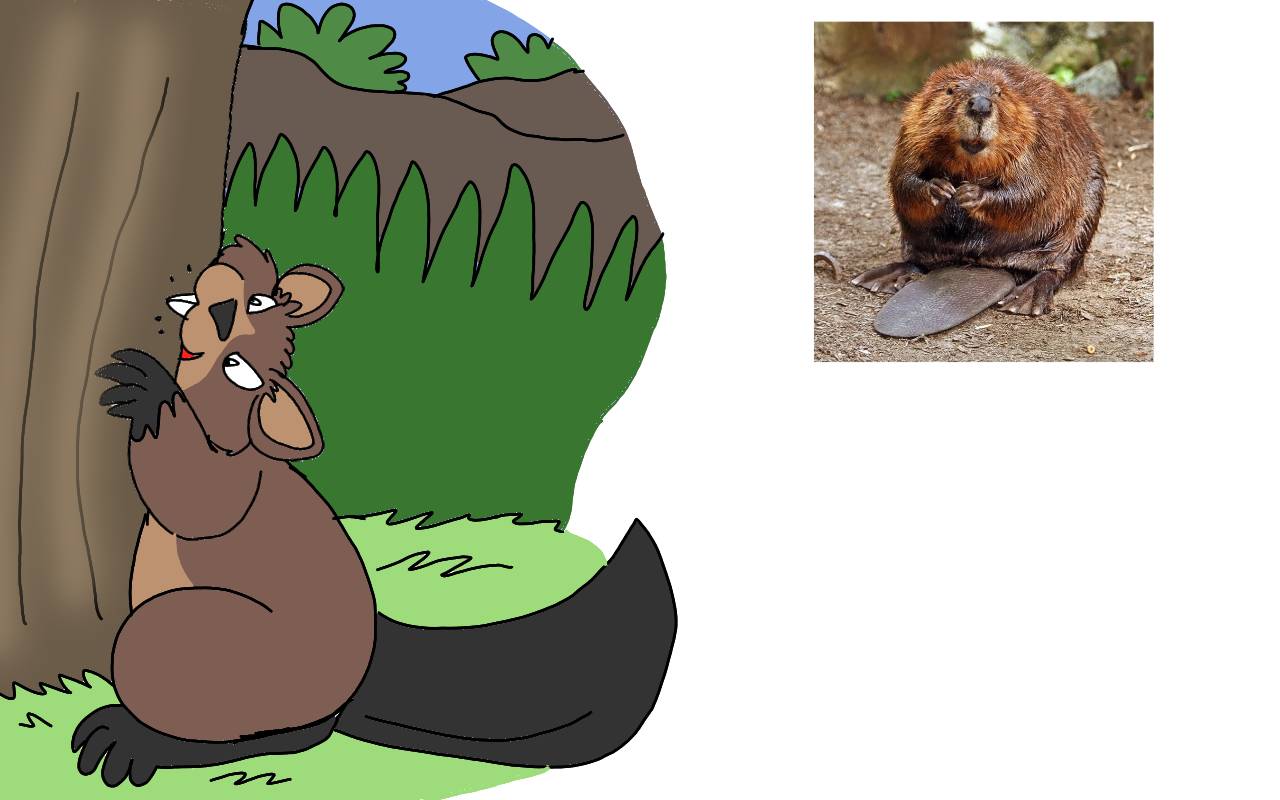 Mutated Beaver Beaver by RubyBadger223 on DeviantArt