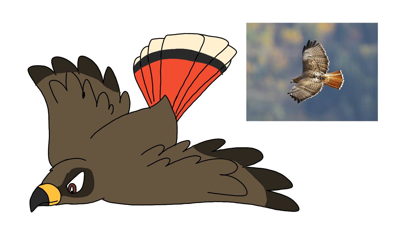 Hawk Expression Red Tailed Hawk by RubyBadger223 on DeviantArt
