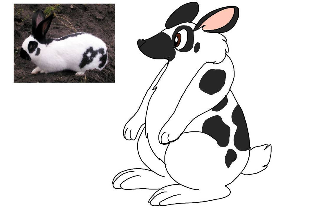 Checkered Giant Rabbit by RubyBadger223 on DeviantArt