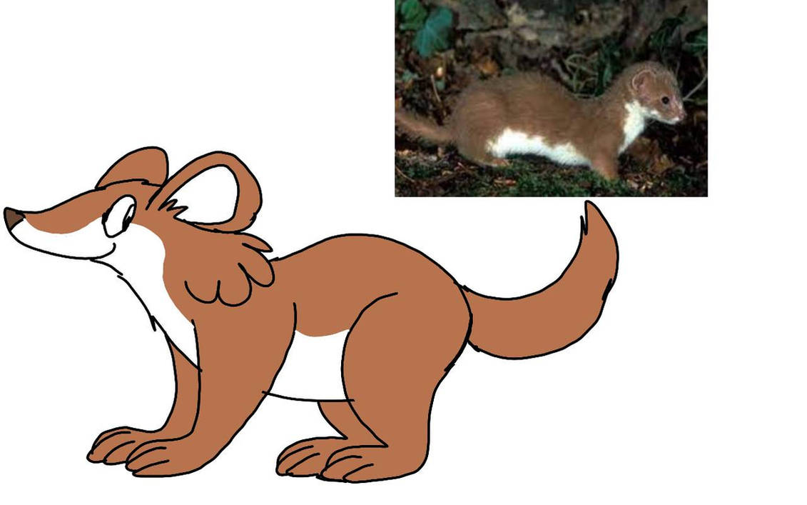 Amazon Weasel Amazon Weasel by RubyBadger223 on DeviantArt
