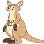 Kangaroo 