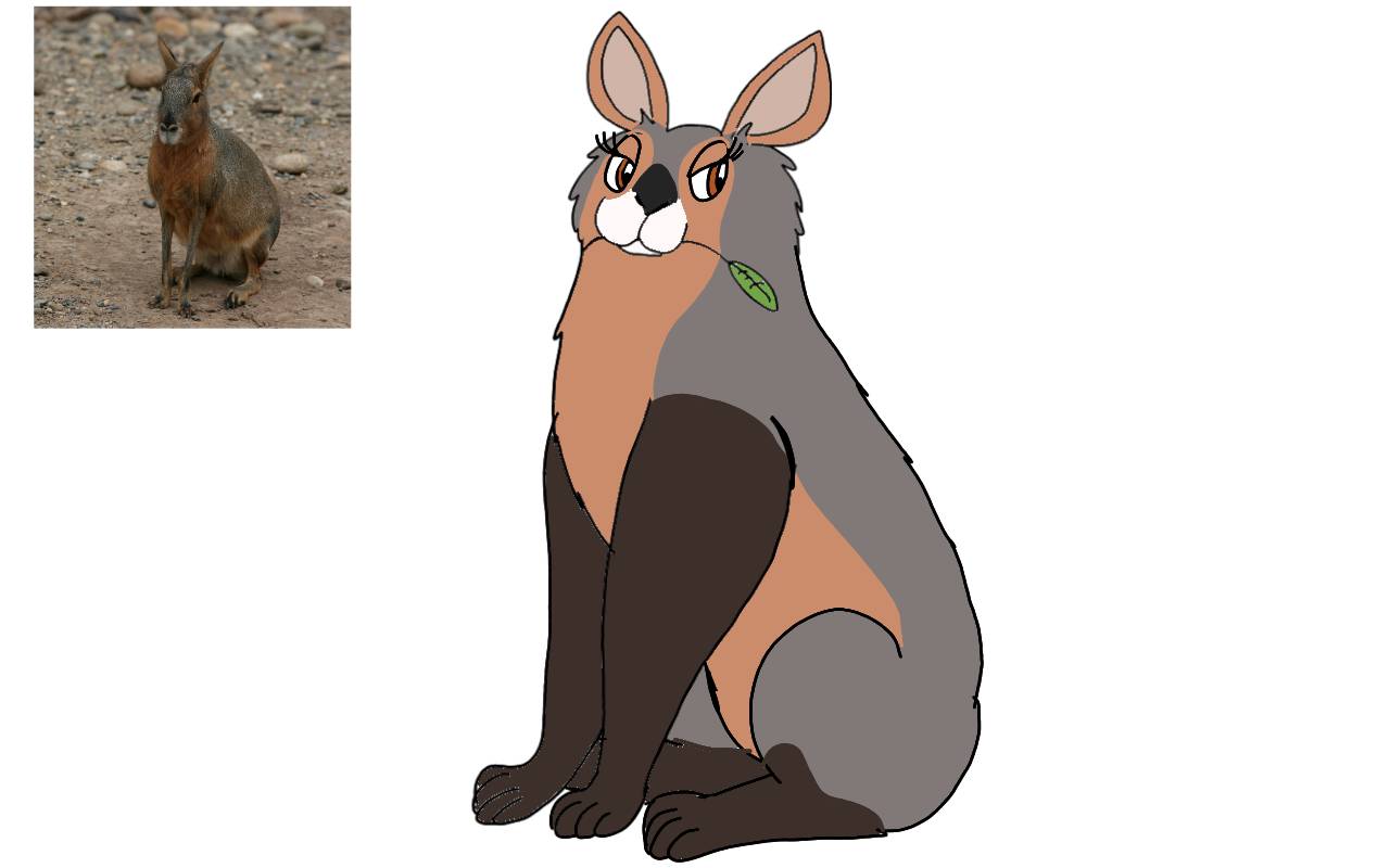 Mara Vs Rabbit Patagonian Mara by RubyBadger223 on DeviantArt