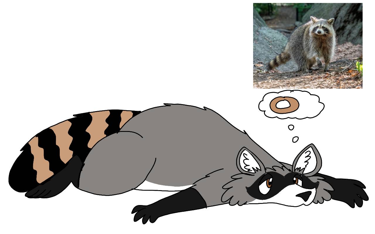 Raccoon by RubyBadger223 on DeviantArt