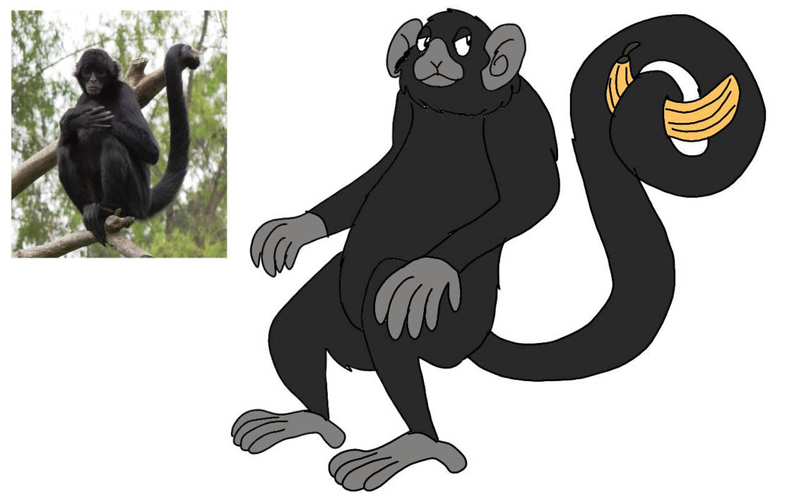 Spider Monkey Deviantart Spider Monkey by RubyBadger223 on DeviantArt