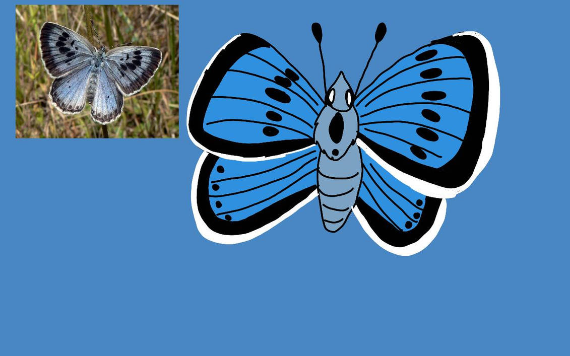Large Blue Butterfly By RubyBadger223 On DeviantArt large-blue-butterfly-by-rubybadger223-on-deviantart