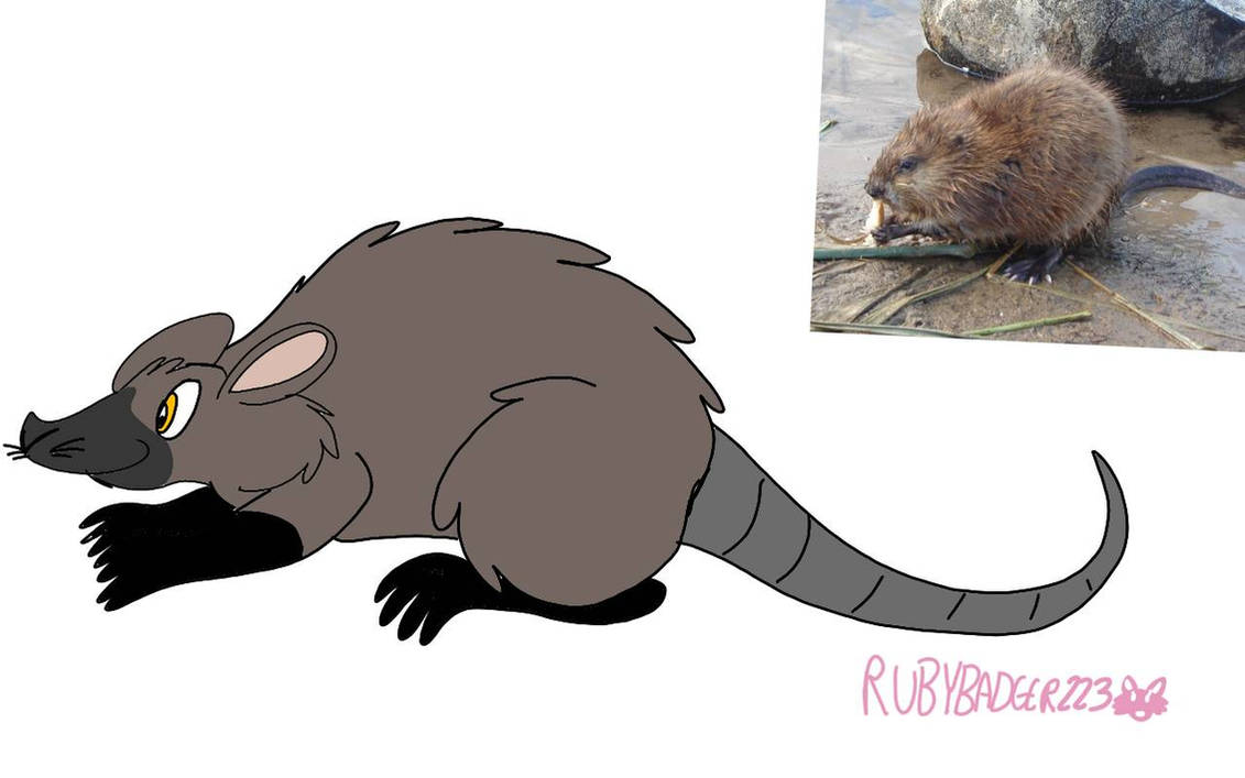 Muppet Muskrats Muskrat by RubyBadger223 on DeviantArt