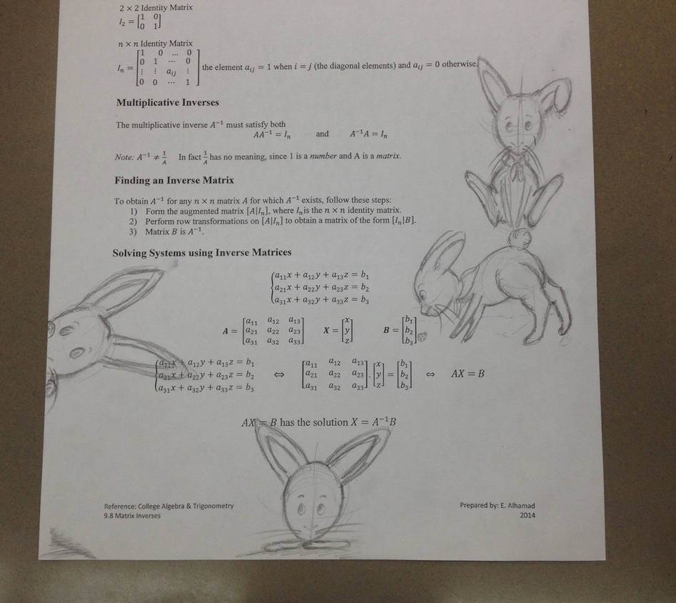 More little rabbits XD by AseelXD on DeviantArt