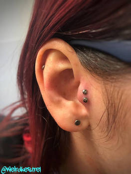 Double tragus