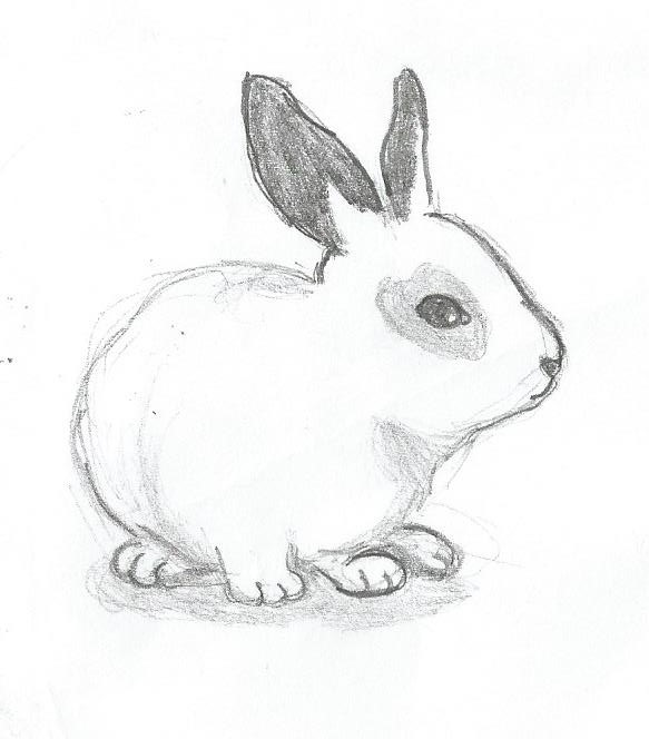 Animal Drawing by imaginationbutterfly on DeviantArt Animal Drawing by imaginationbutterfly on DeviantArt