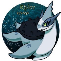 PKMN|Ripley|