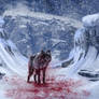 wolf kill