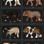 Vasteuro: Draw to adopt (for Newbies!)