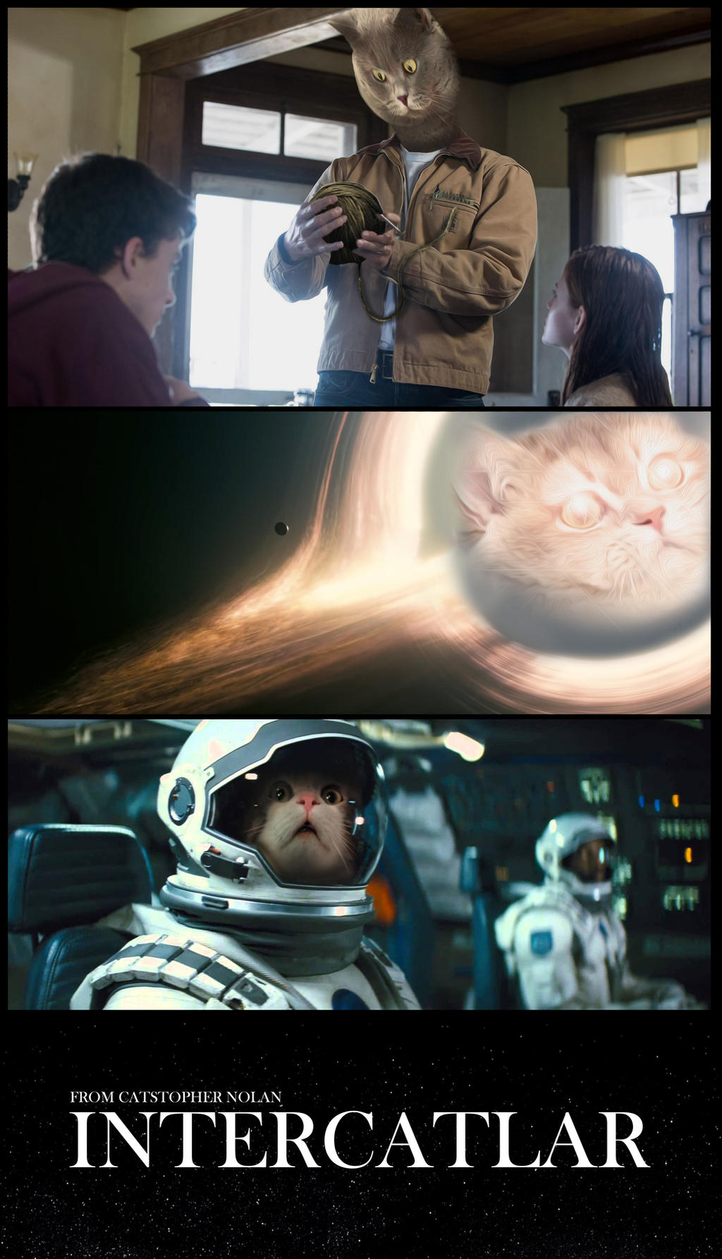 Interposed Cat Interstellar with cats! (Intercatlar) by lowrider41 on DeviantArt