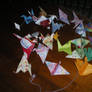 All of my origami cranes
