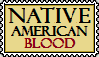 Native American Stamp