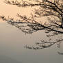 Hakone at dusk