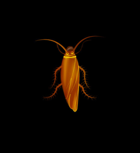 cockroach by anishramireddy on DeviantArt
