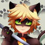 Chat Noir