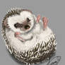 Traditional Digital Art, Hedgehog