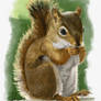 Traditional Digital Art, Little Squirrel