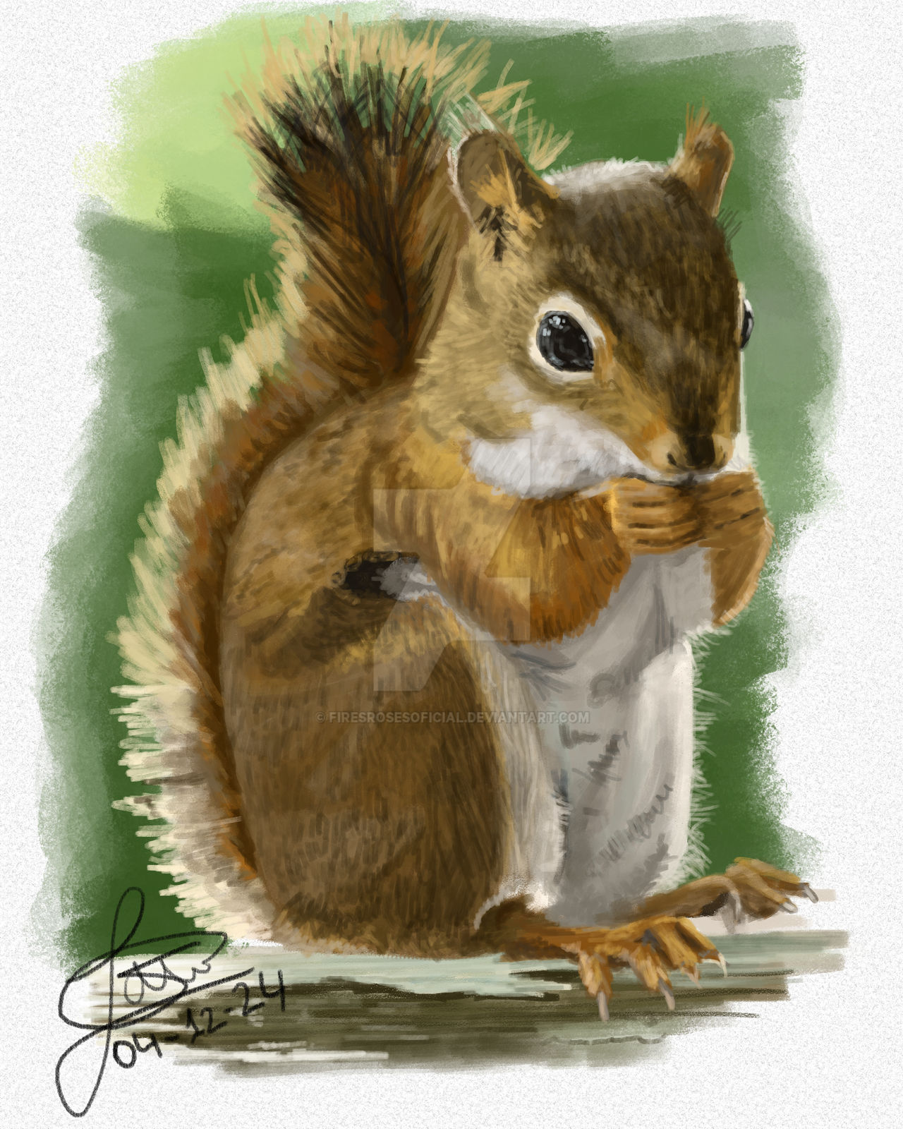 Squirrel Deviantart Traditional Digital Art, Little Squirrel by FiresrosesOficial on DeviantArt