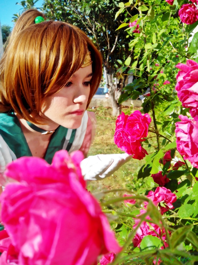 Sailor Jupiter Roses