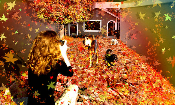 Autumn Memories Diorama