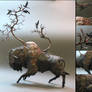 Bison with Crows