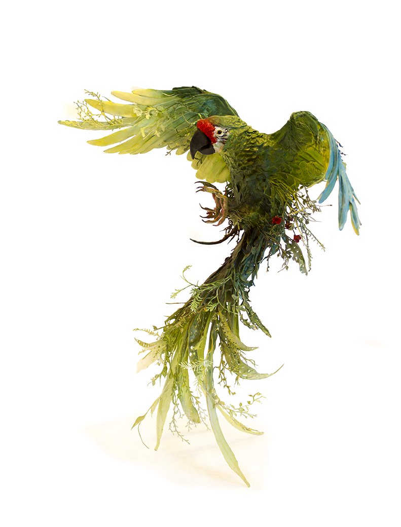 forgiving spirits through dappled light