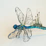 Dragonfly2