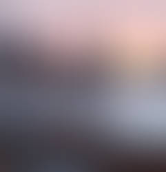 Rooftops and Tall Buildings (2017)