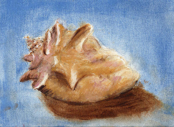 Giant Conch Shell by whitehorsefeathers on DeviantArt