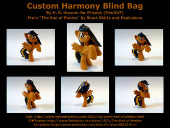 Custom Harmony Blind Bag