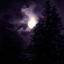 Moonlight