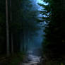 The Midnight Path