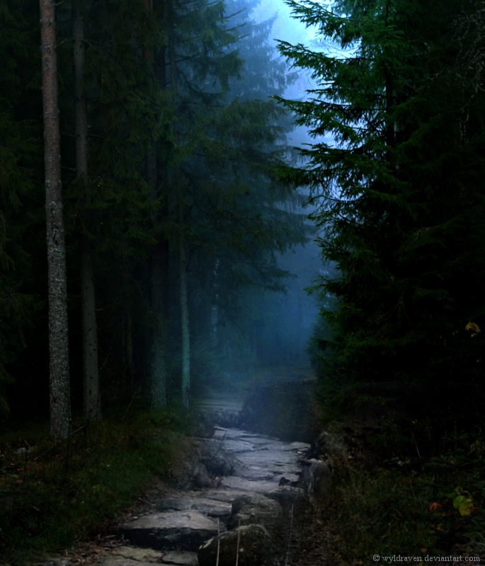 The Midnight Path